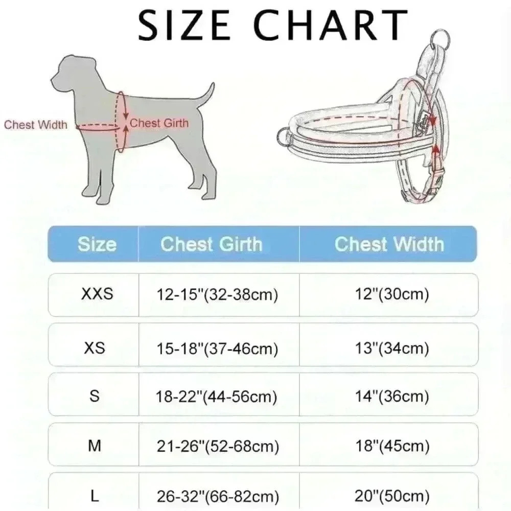 ๐ 6/$60, Didog Soft Padded Dog Harness, Large, Turqoise/Purple - Picture 2 of 5